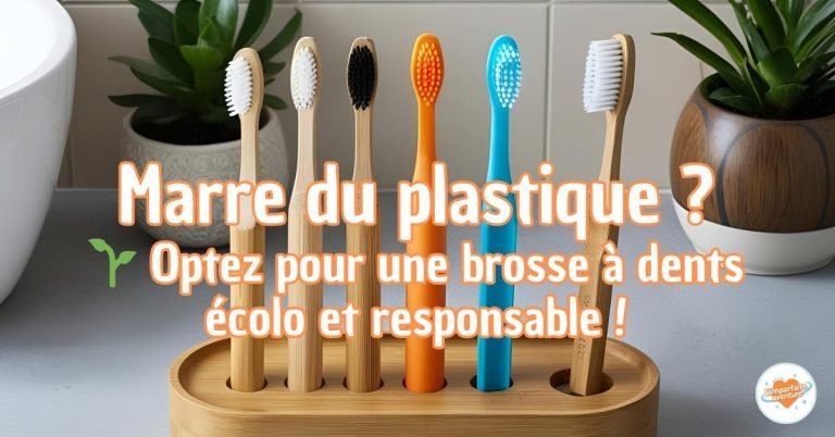 Brosses à dents écologiques en bambou, plastique et autres, dans une salle de bain