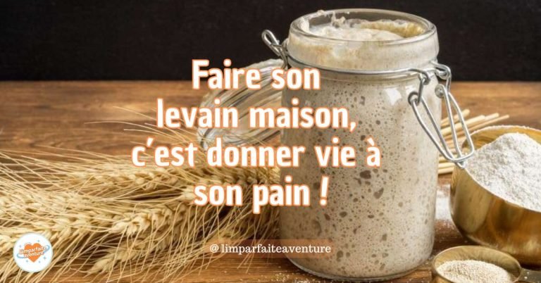 Un pot de levain maison en pleine fermentation, accompagné d’épis de blé et de farine, symbolisant la préparation artisanale du pain au levain. Faire son levain maison permet de réaliser un pain savoureux et naturel, avec une fermentation longue qui révèle toutes ses saveurs.