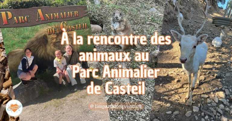 Famille en balade à la rencontre des animaux lors de la visite du Parc Animalier de Casteil